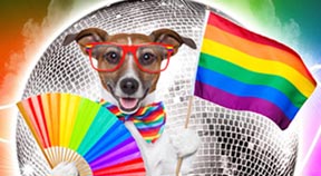 Woofty woofty! Pride Dog Show returns on July 20.