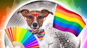 Doggy Pride 2014 today