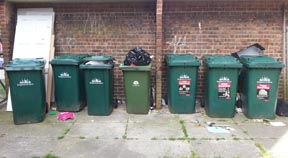 Audit reveals nine in ten Hollingdean housing blocks lack full recycling facilities