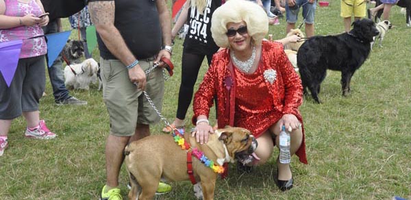 Pride dog show cancelled