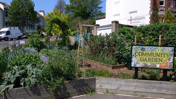 Community projects are blooming brilliant!