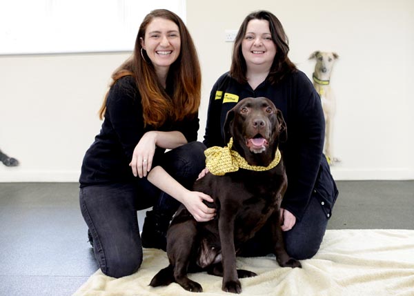 Dogs Trust: SUP’PAW’TING Shoreham’s Dogs