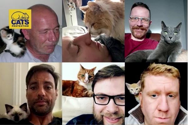 Cats Protection calls all men to show their affinity with kitties