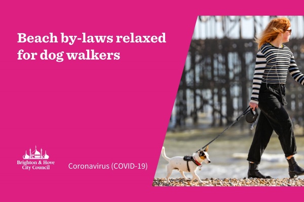 Beach by-laws relaxed for dog walkers in Brighton & Hove