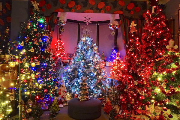 Feeling festive? Seaford local to show off amazing Christmas trees for TV programme