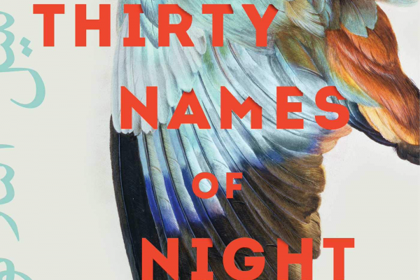 Book REVIEW:The Thirty Names of Night: A Novel  Zeyn Joukhadar