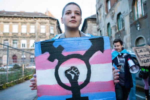 Hungarian court rejects anti-trans bill
