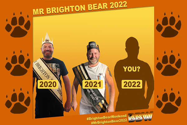 Applications OPEN for Mr Brighton Bear 2022