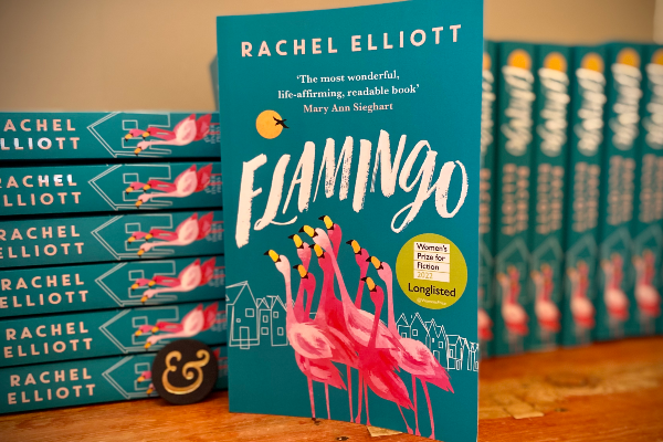 BOOK REVIEW: Flamingo by Rachel Elliot